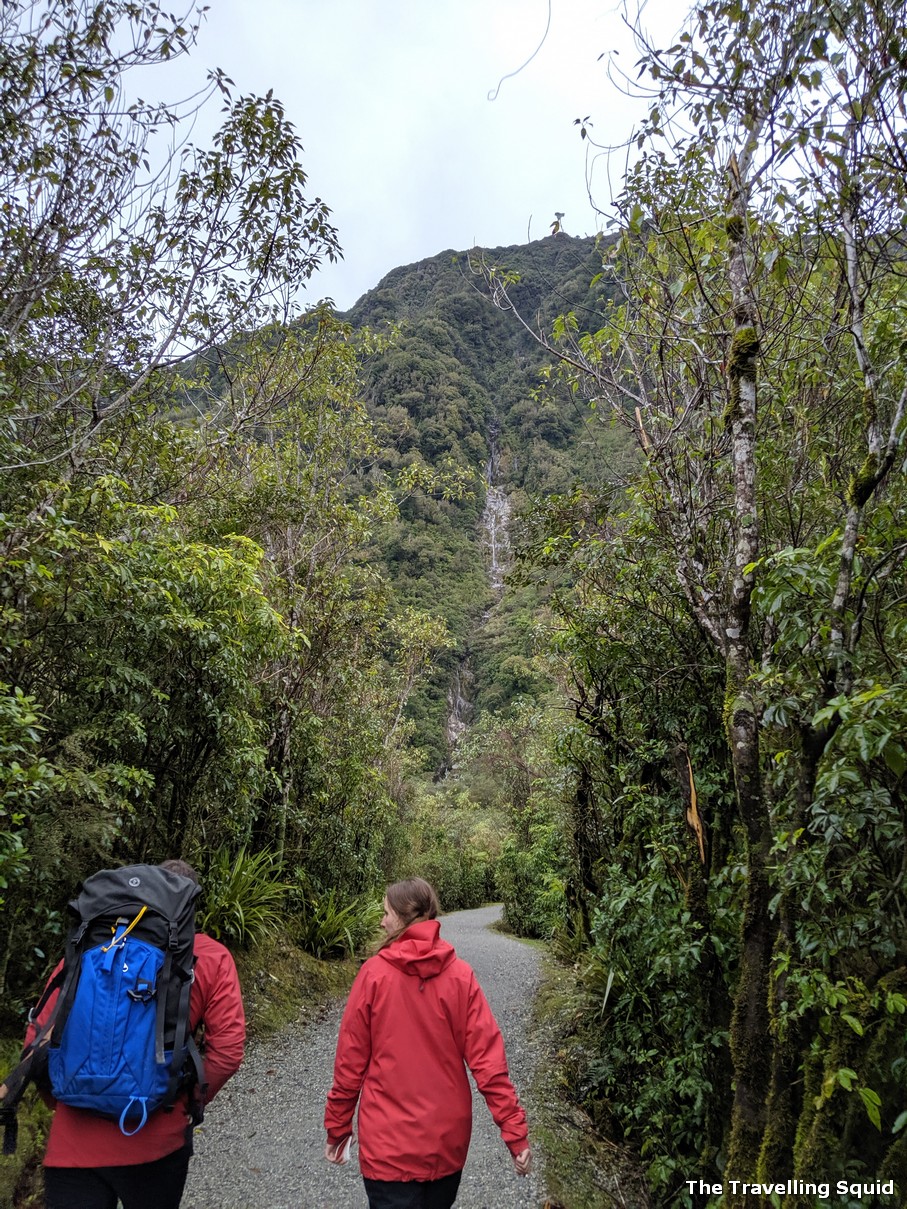 hike to Franz Josef Glacier