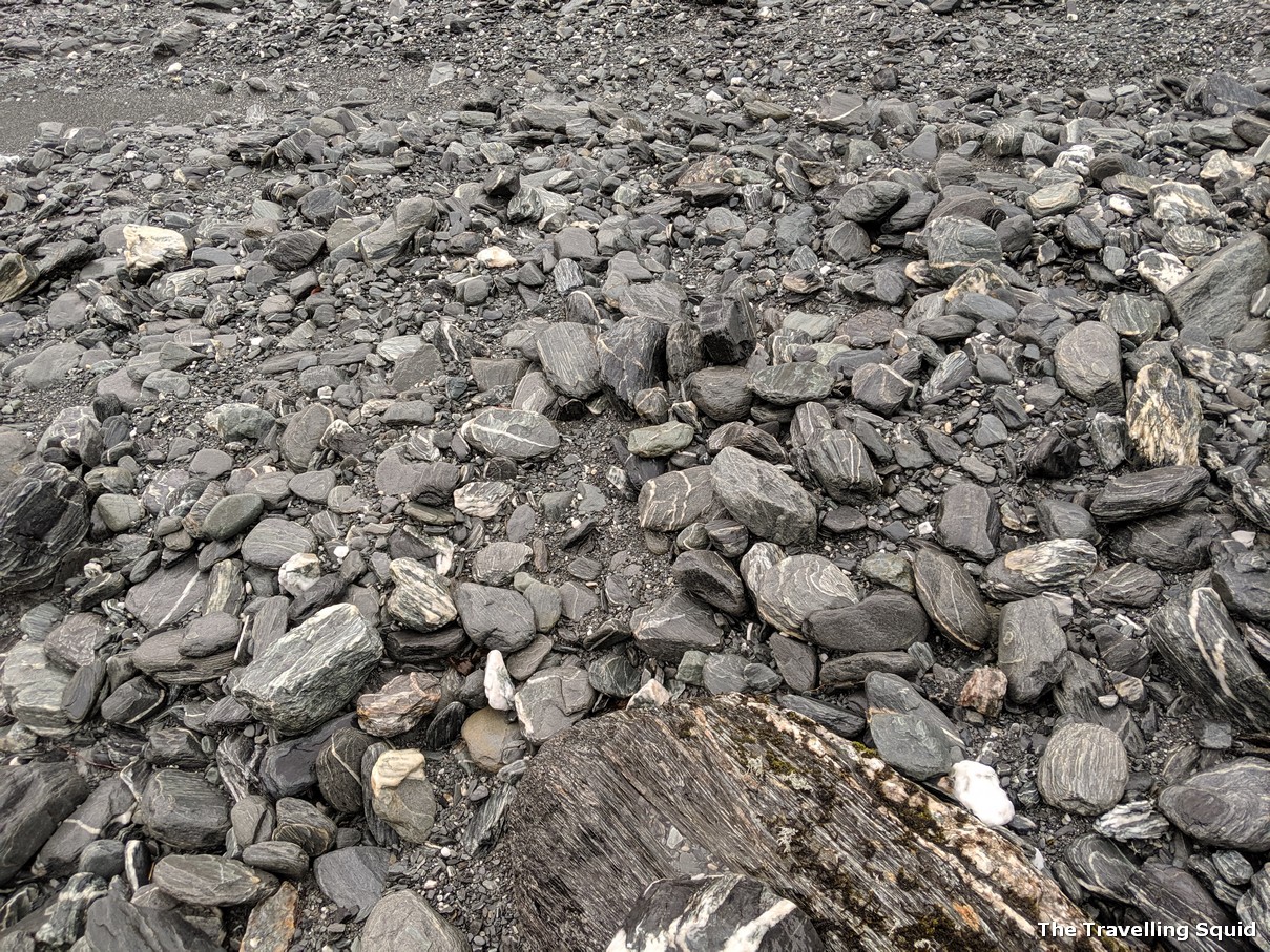 franz josef riverbed