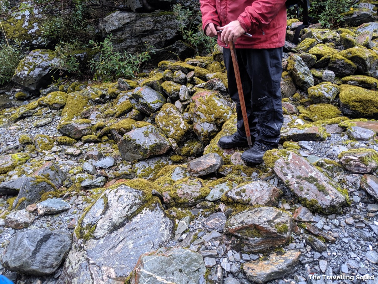 franz josef glacier hike moss