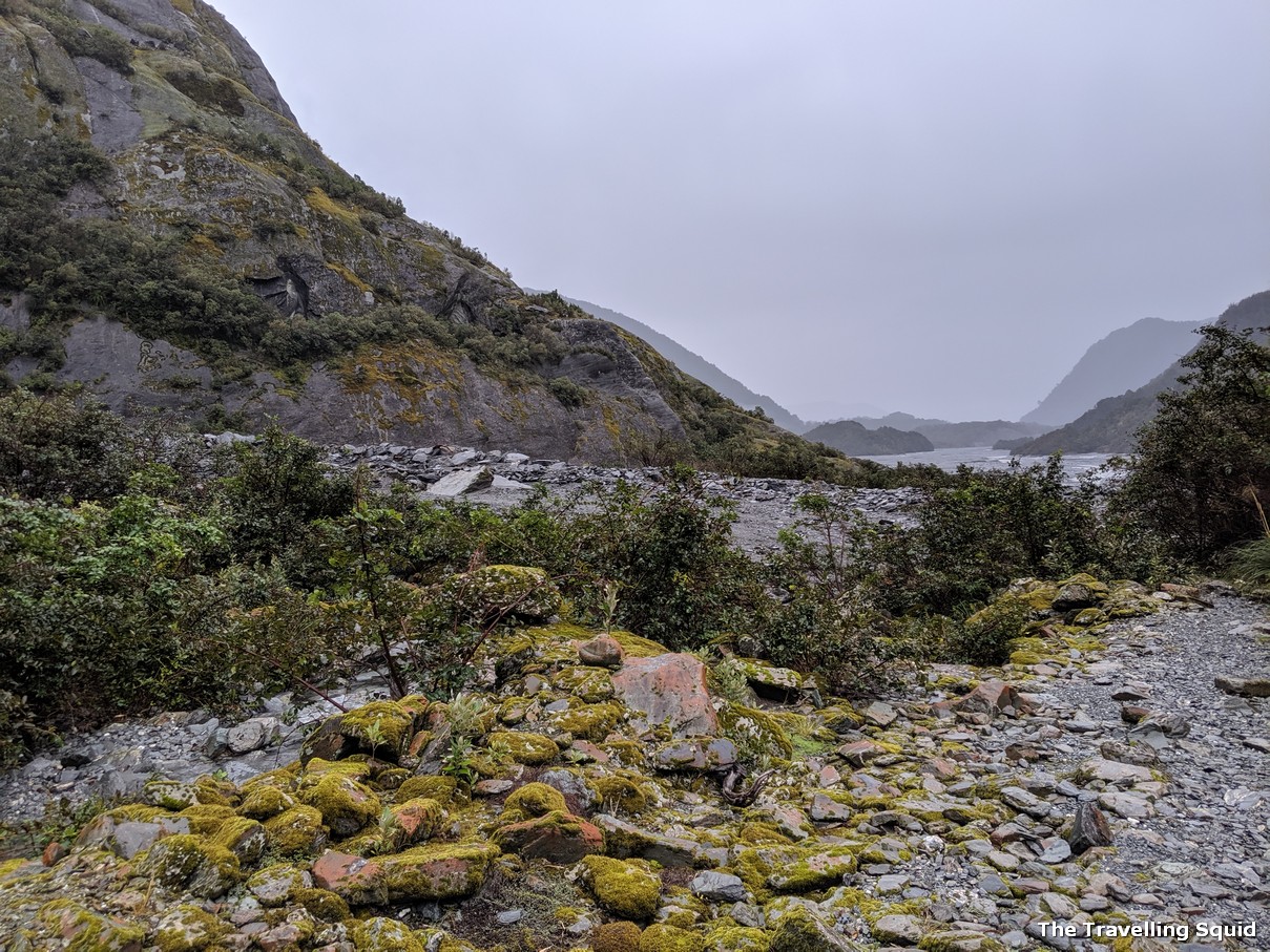 franz josef glacier hike moss