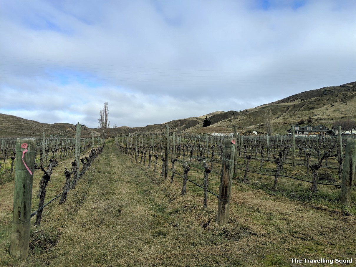 Felton Road vineyard in Bannockburn