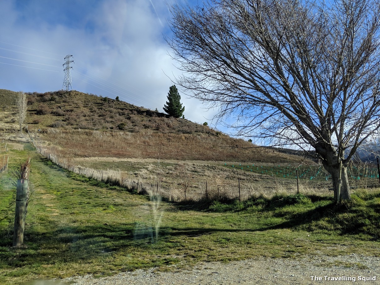 Cloudy Bay Cellar Door Central Otago  Activity in Central Otago, New  Zealand