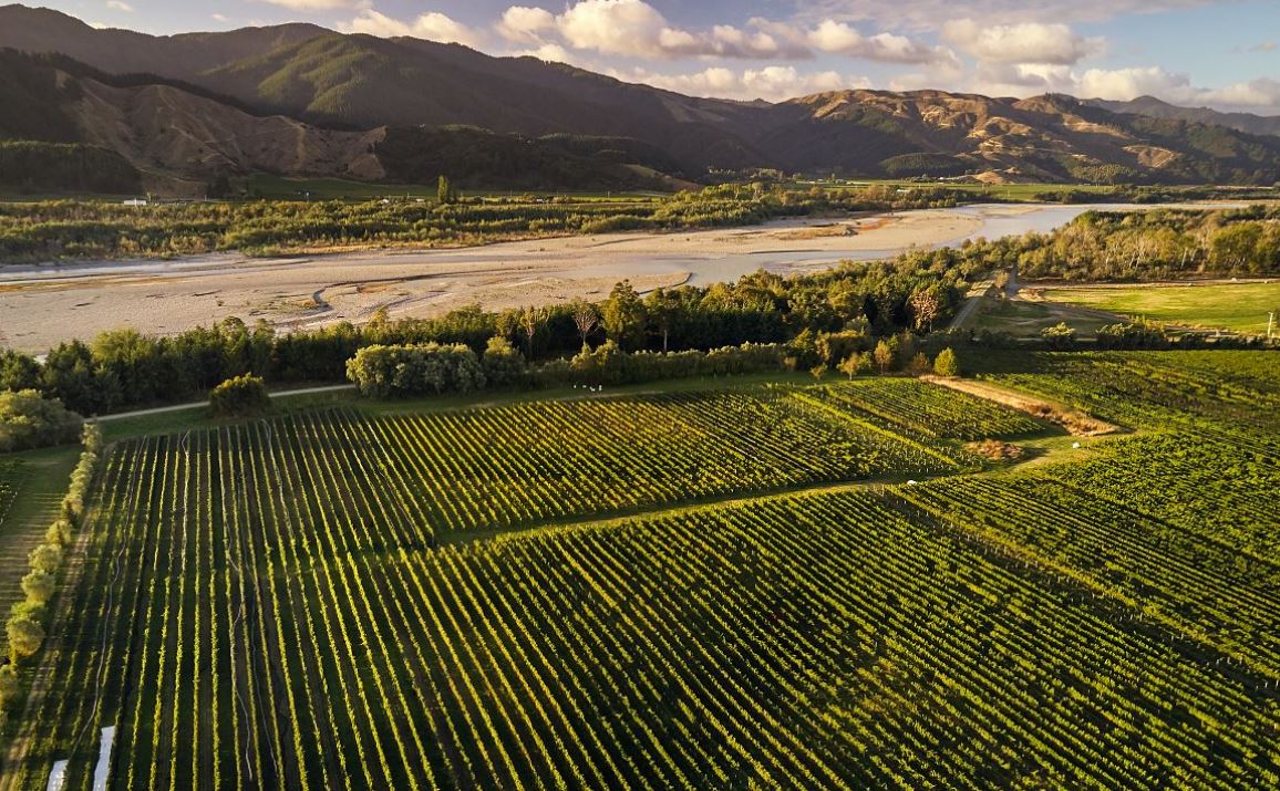 Hans Herzog winery in Marlborough New Zealand