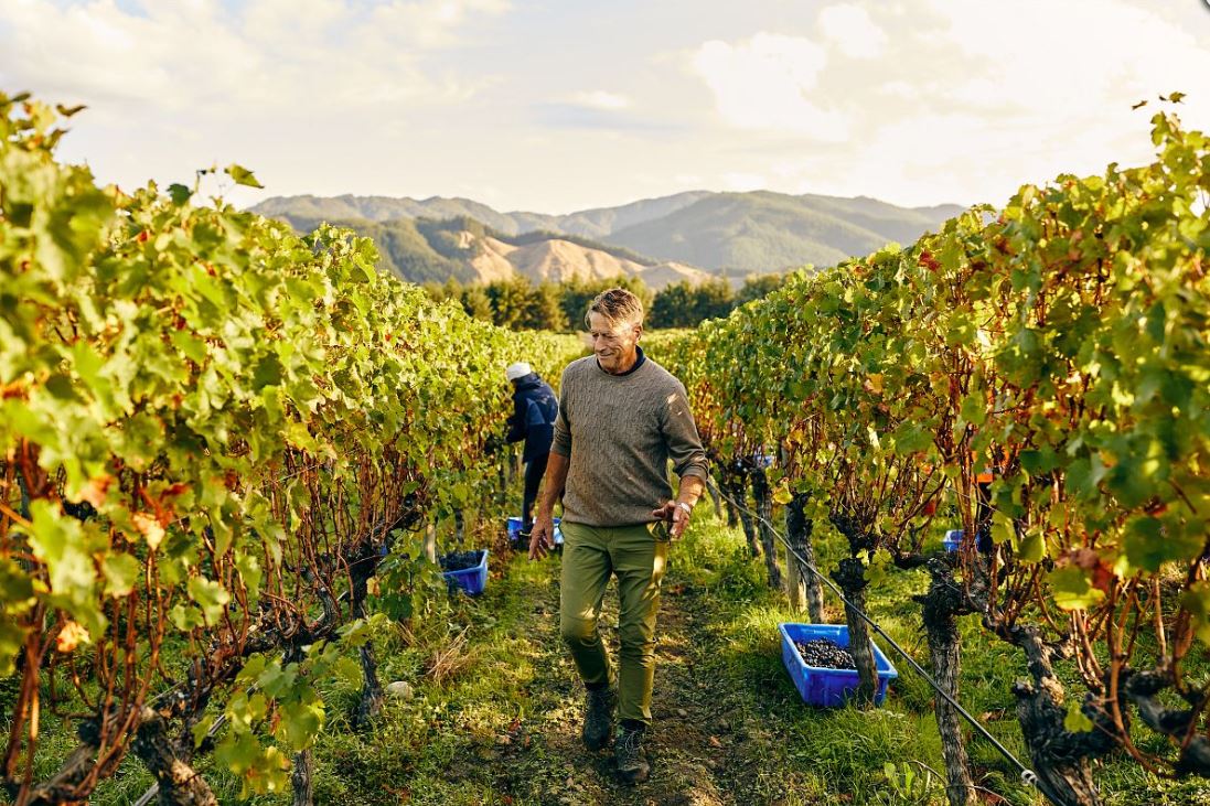 hans herzog winery marlborough