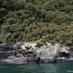 Is a Milford Sound day cruise worth it?