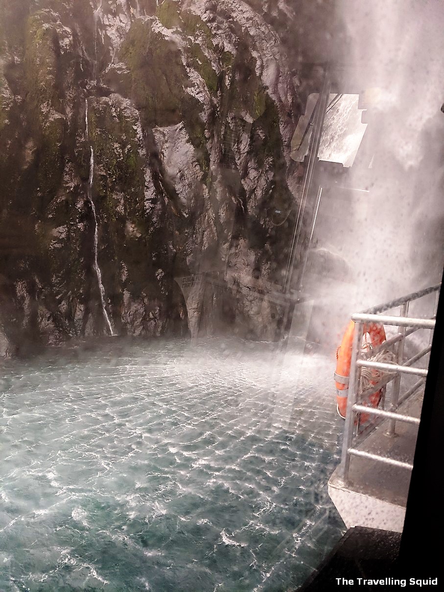 milford sound day cruise