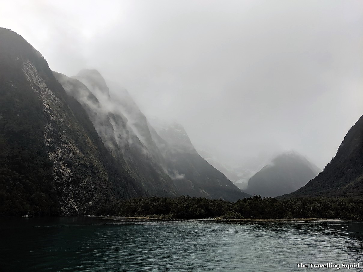 milford sound day cruise