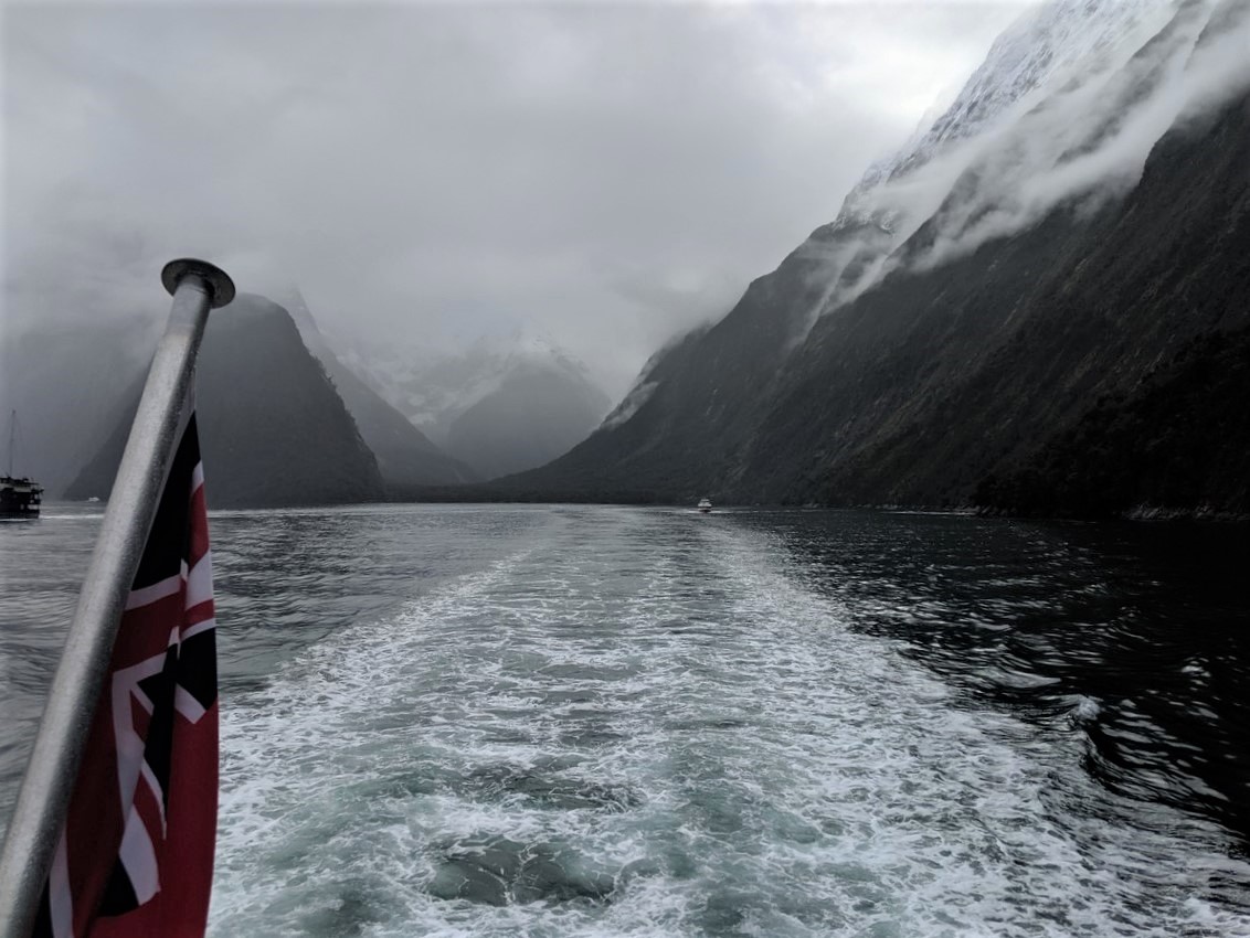 milford sound day cruise