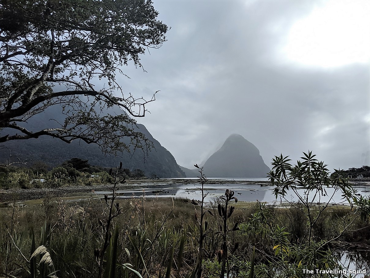 milford sound day cruise