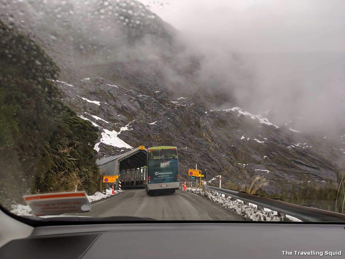 tour bus milford sound