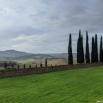Recommended: Visit the cellar door of Altesino in Montalcino Tuscany