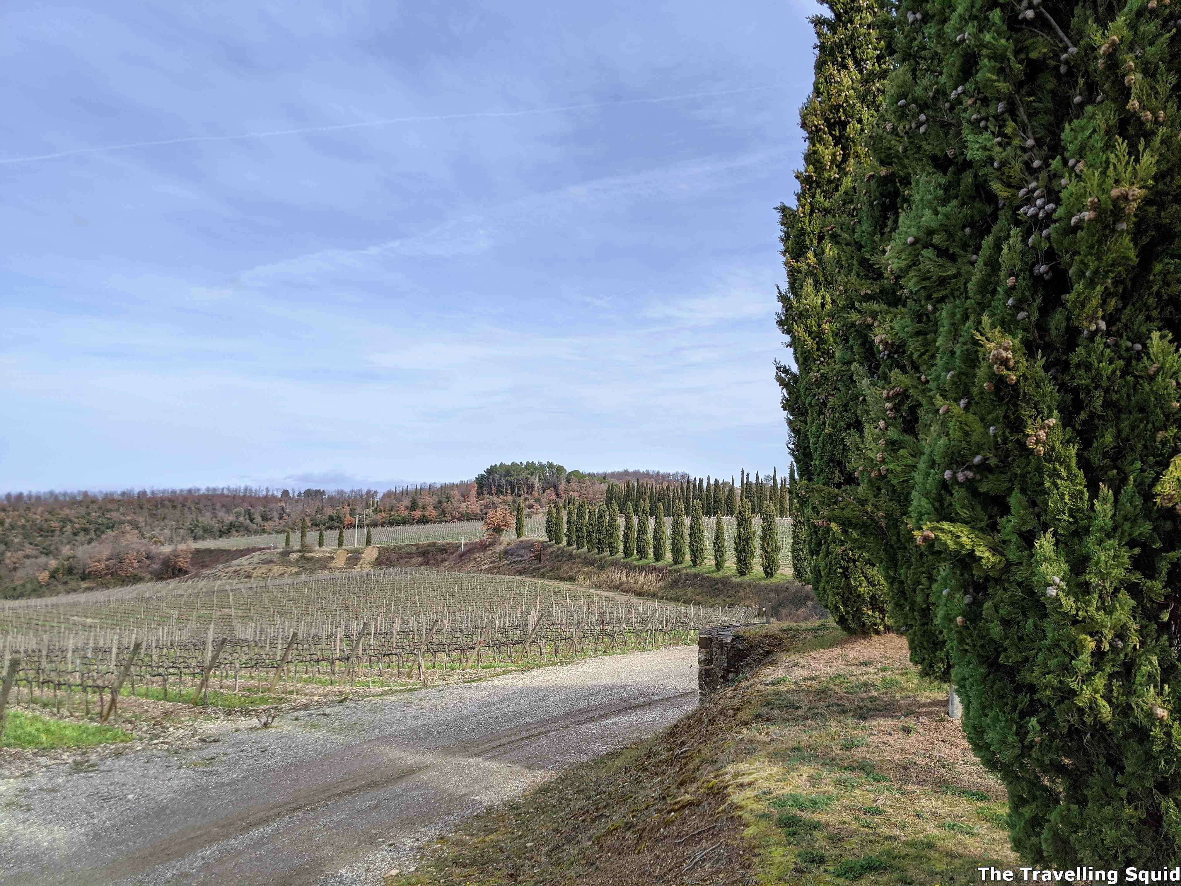 vineyards to visit in Montalcino Italy Poggio Antico