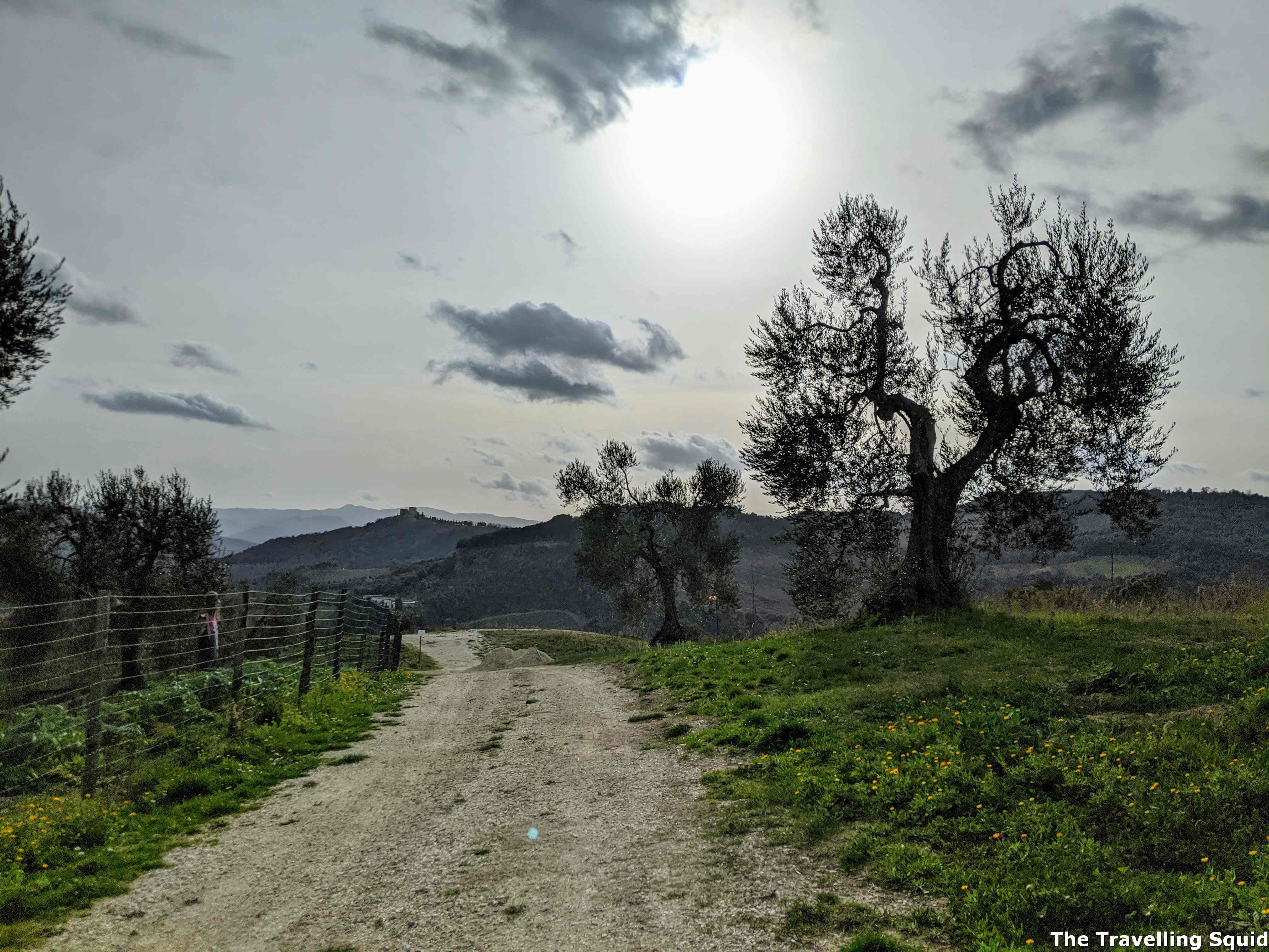 biodynamic vineyard Podere Le Ripi in Montalcino