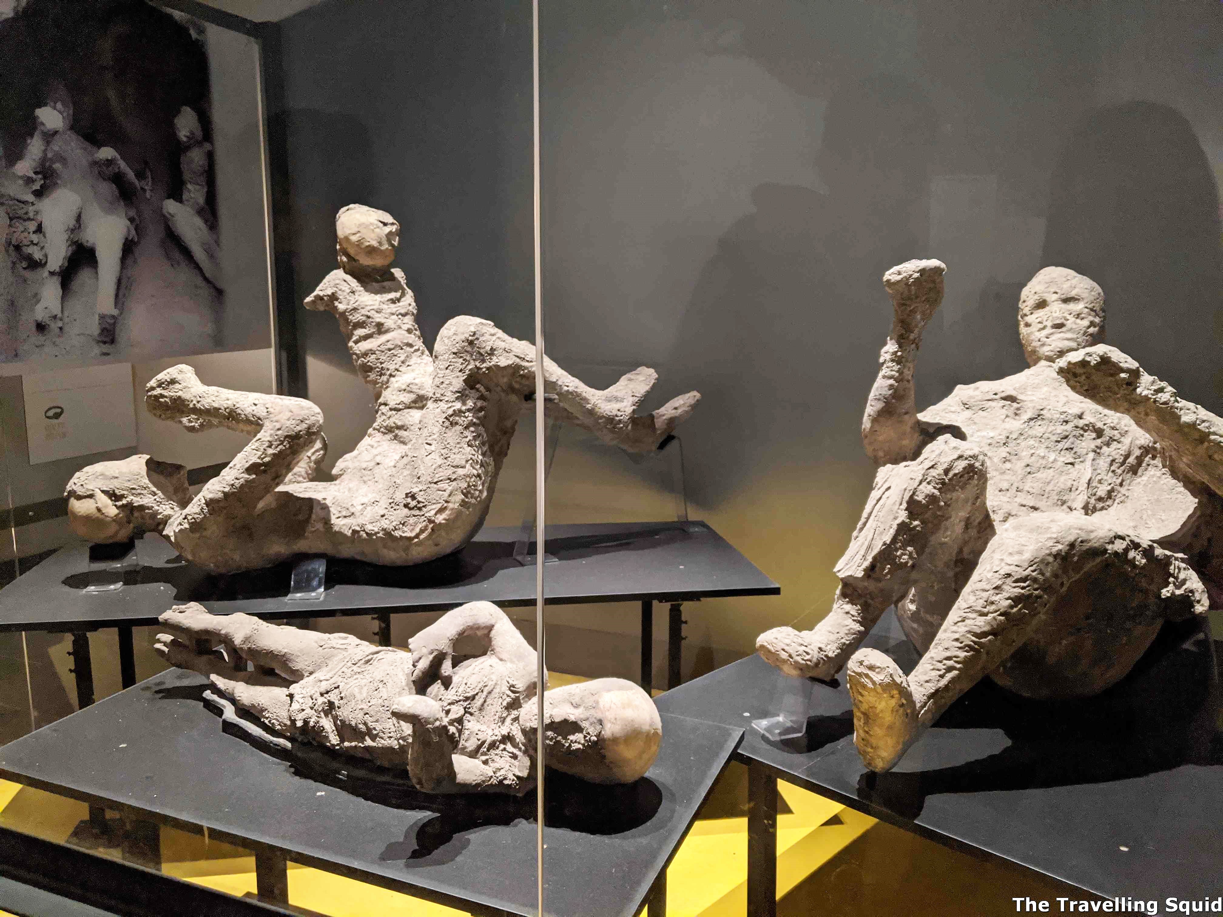 pompeii museum mummies