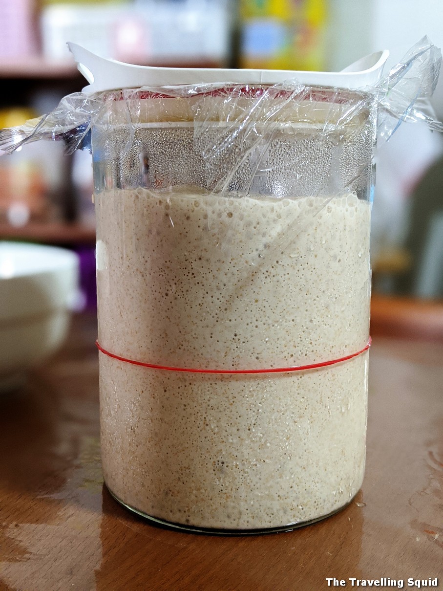 feeding starter sourdough singapore