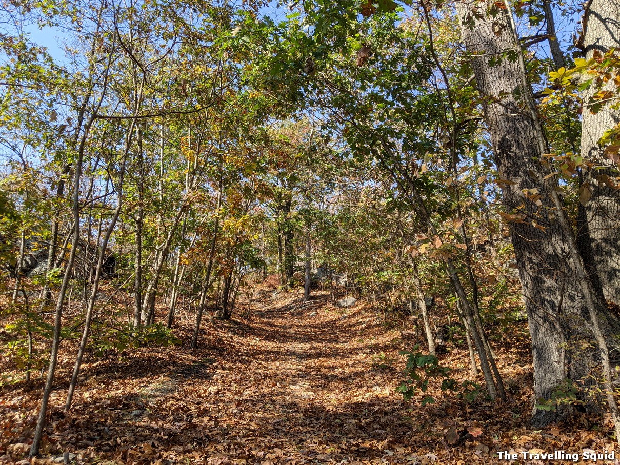 middlesex fells reservation in fall