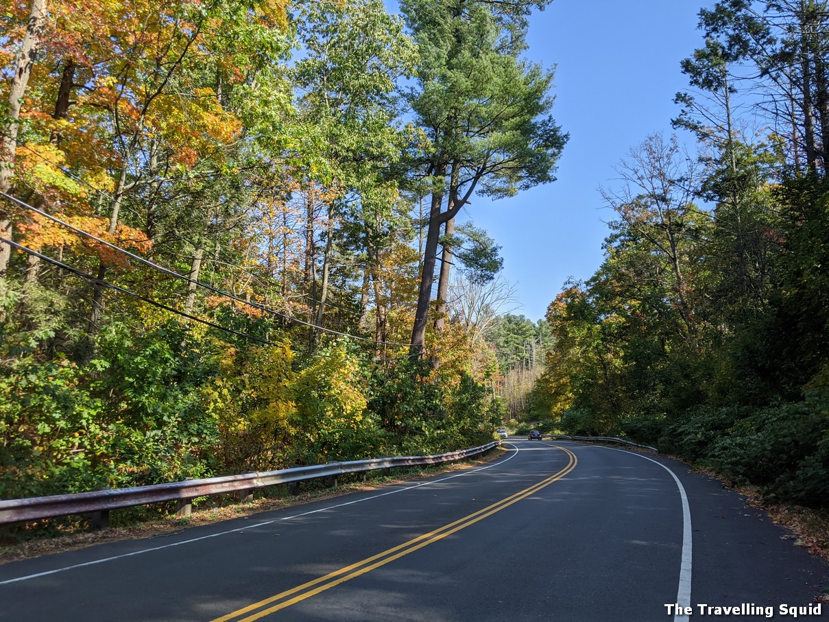 middlesex fells reservation in fall