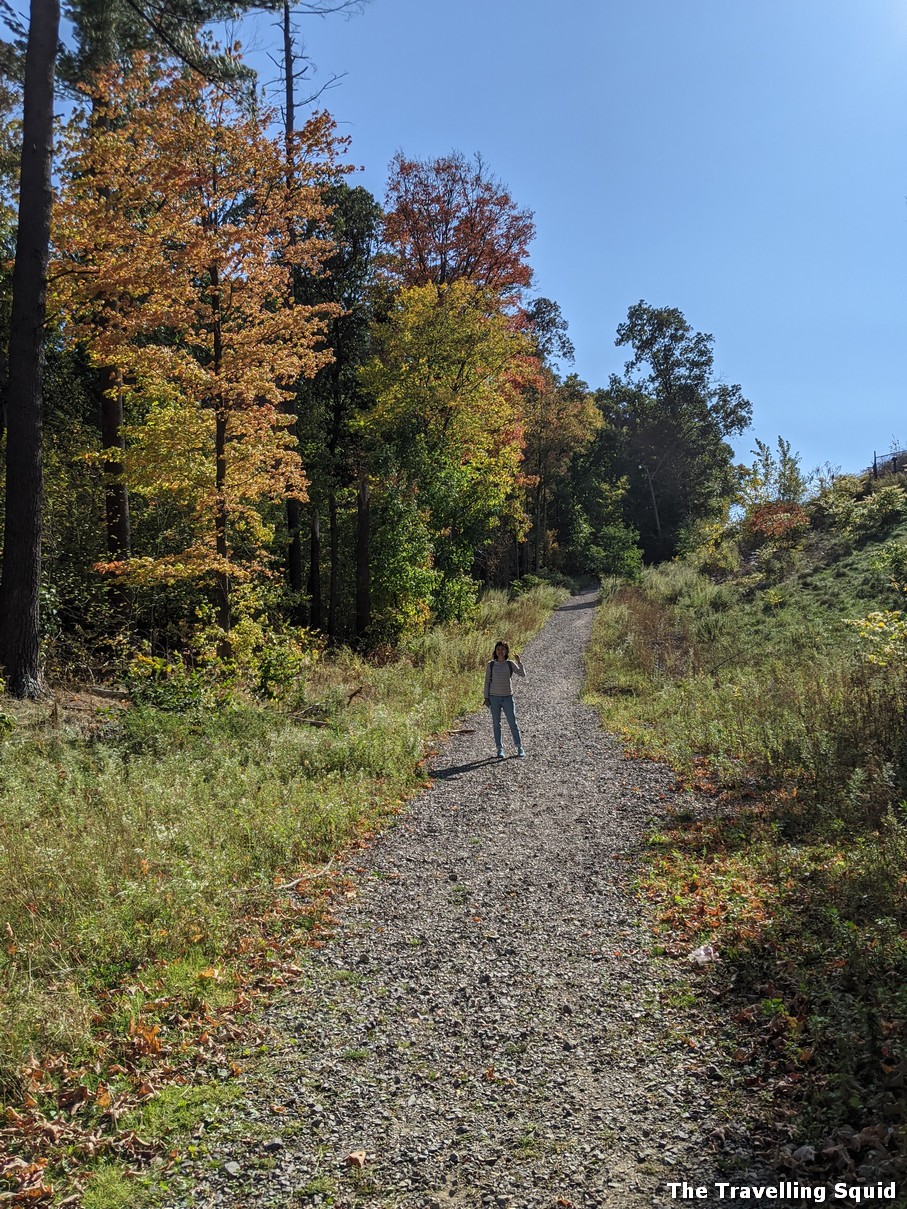 middlesex fells reservation