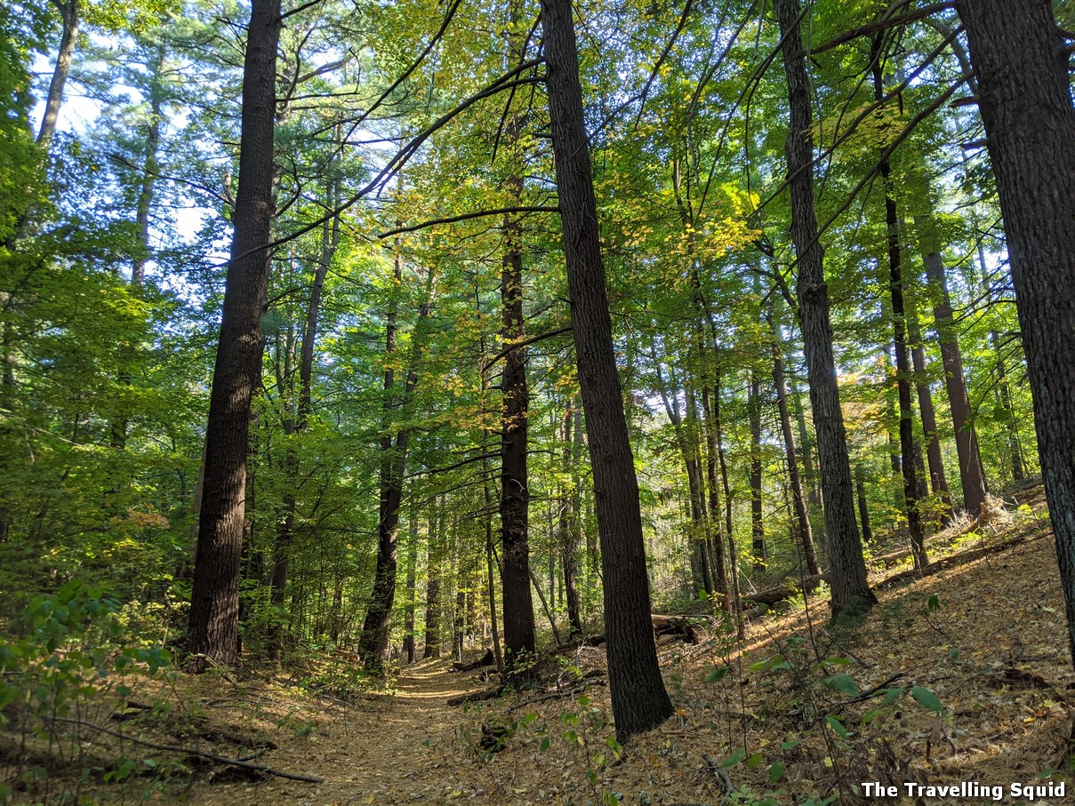 visit Middlesex Fells Reservation during your trip to Boston Massachusetts