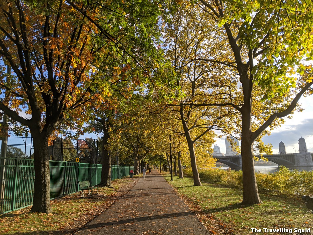 Running on the Charles River. Best sections to run on the Charles River  Paths