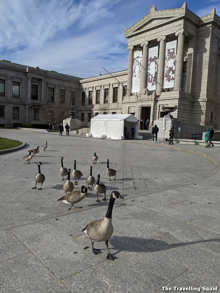 boston museum of fine arts