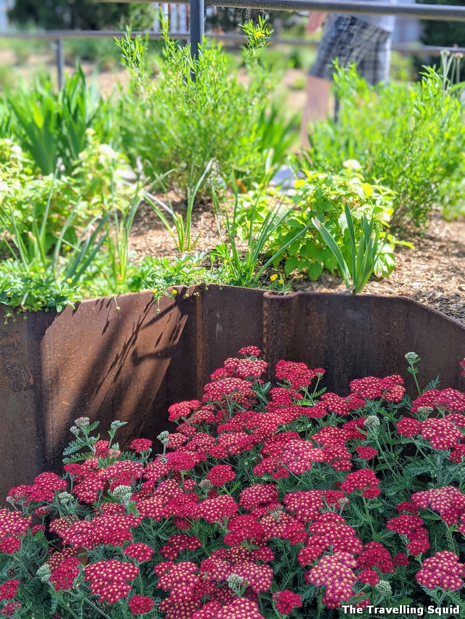 little island flowers 