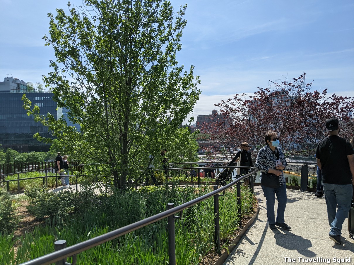 Visiting Little Island at Pier 55 in New York City 