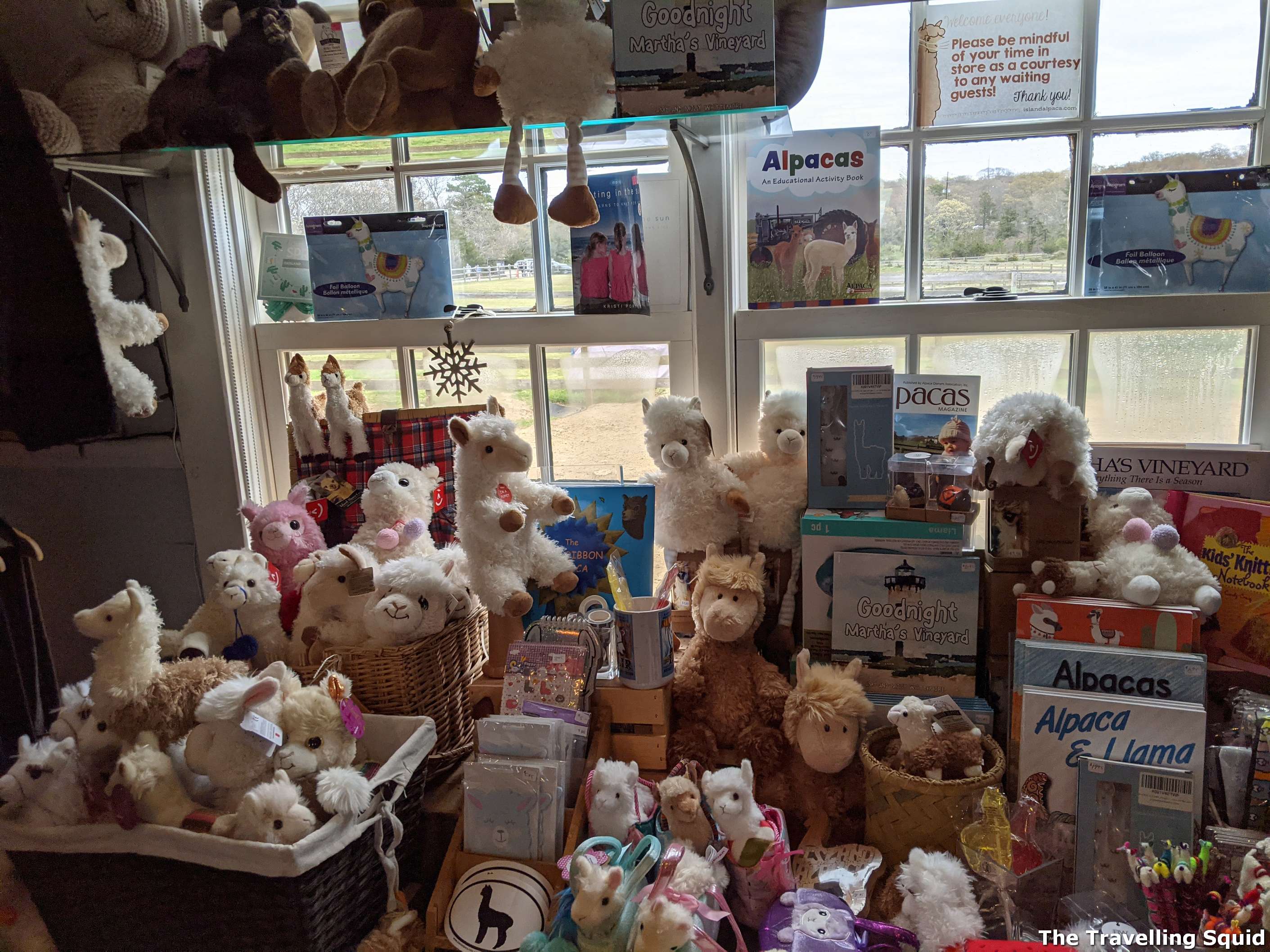 Island Alpaca Company marthas vineyard