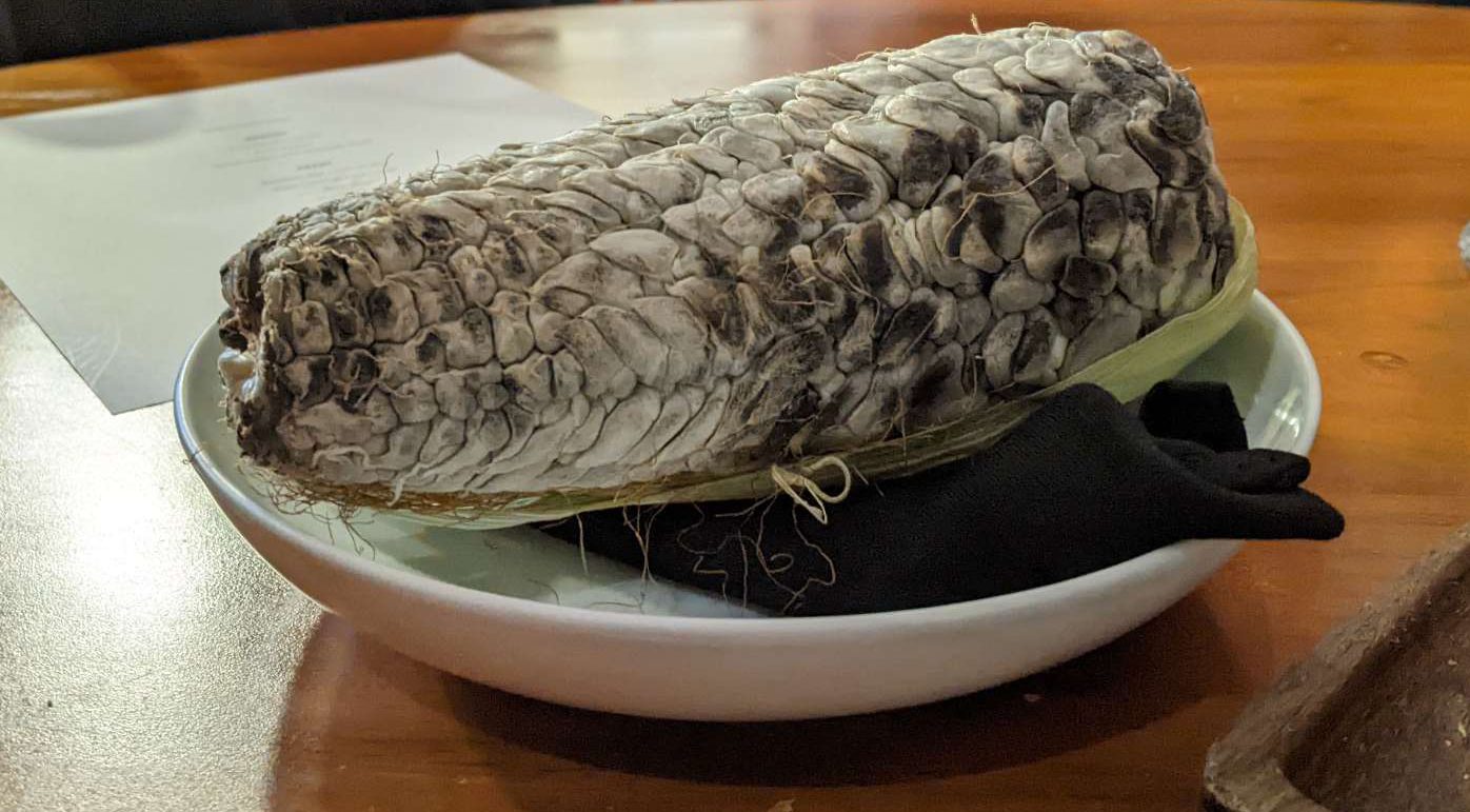  Huitlacoche growing on a corn - at Lorea - Restaurante Lorea in Mexico City